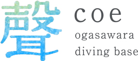 聲 coe ogasawara diving base