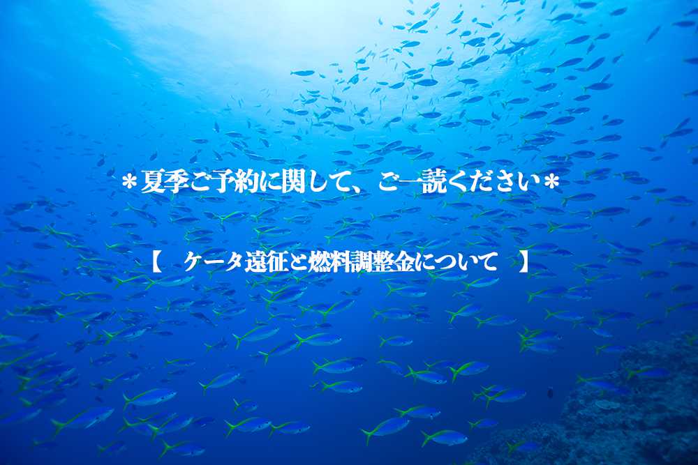 夏季ご予約に関して（ケータ遠征と燃料調整金について）