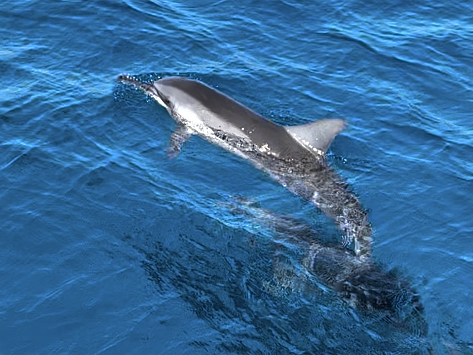 夏の名残と冬の気配