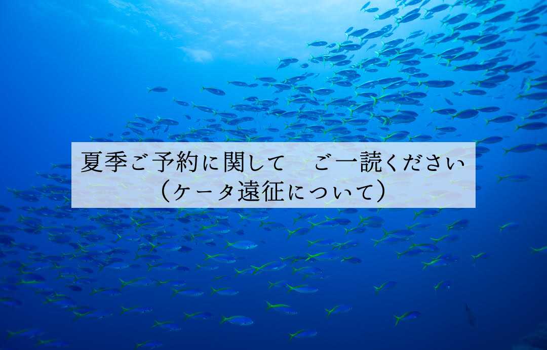 夏季ご予約に関して（ケータ遠征について）